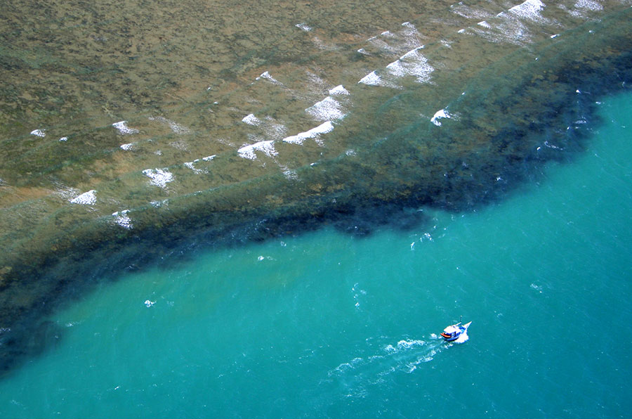 portoseguro2