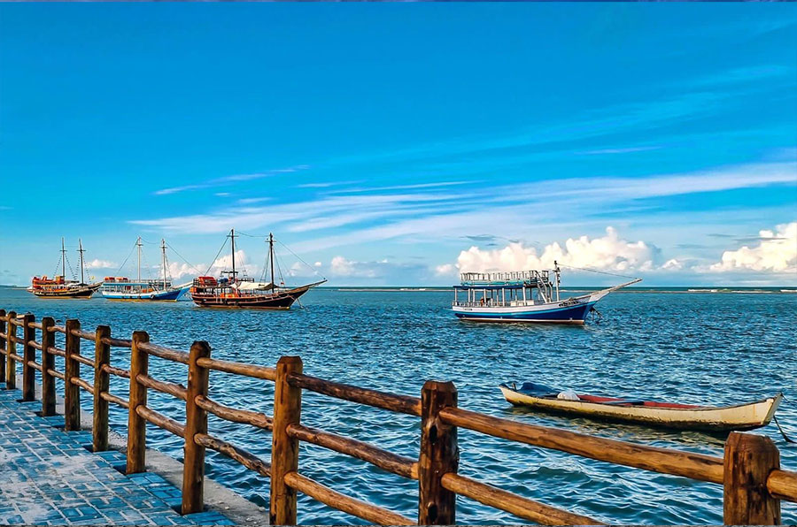 portoseguro4