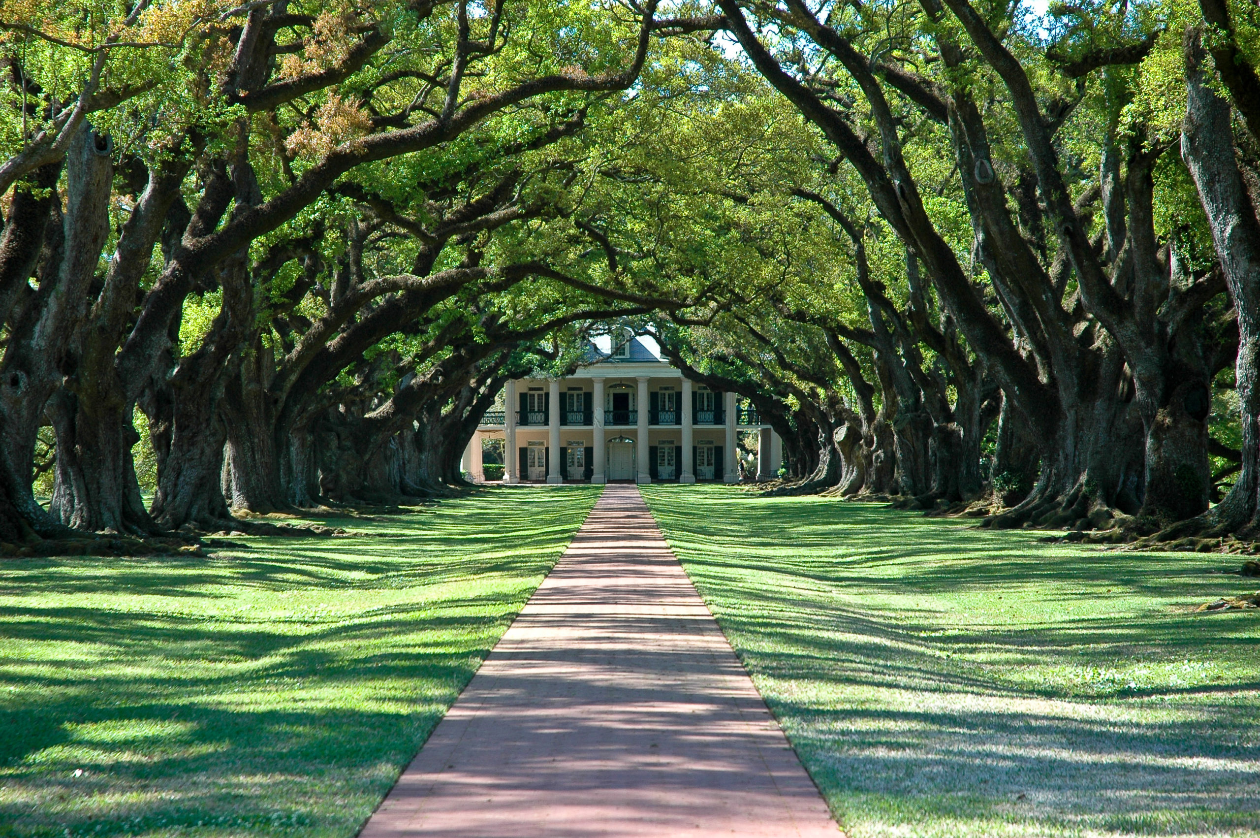 Plantations