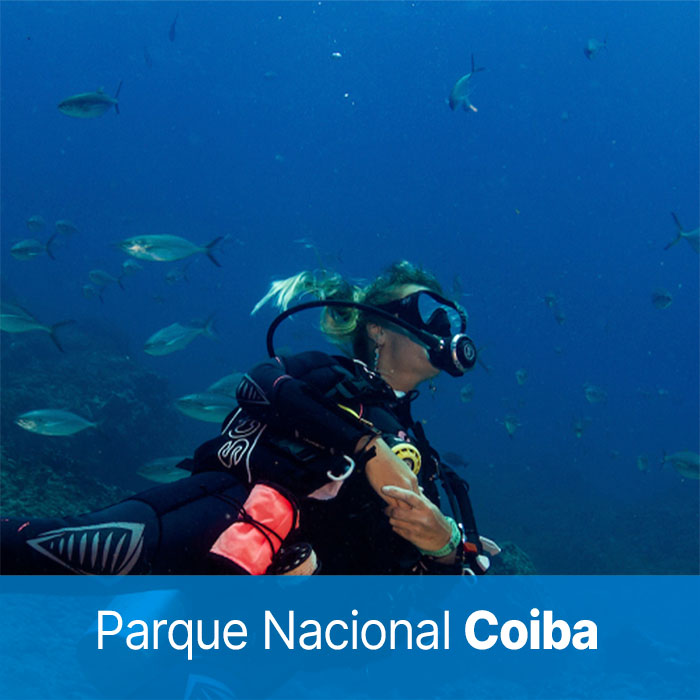 Mergulhador no Panama