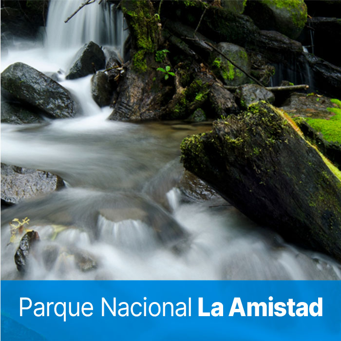 Parque nacional la amistad no panama
